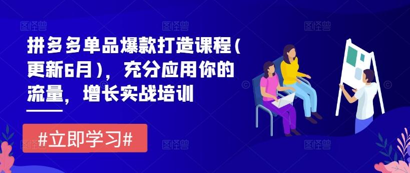 拼多多单品爆款打造课程(更新6月)，充分应用你的流量，增长实战培训-AI网创