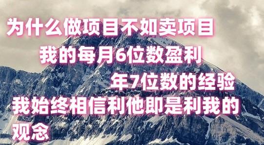 做项目不如卖项目，每月6位数盈利，年7位数经验-AI网创