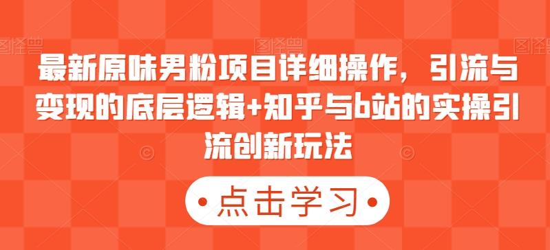 最新原味男粉项目详细操作，引流与变现的底层逻辑+知乎与b站的实操引流创新玩法-AI网创