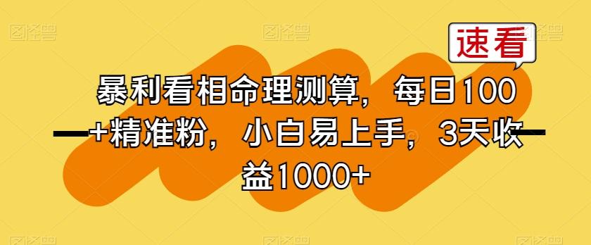 暴利看相命理测算，每日100+精准粉，小白易上手，3天收益1000+【揭秘】-AI网创