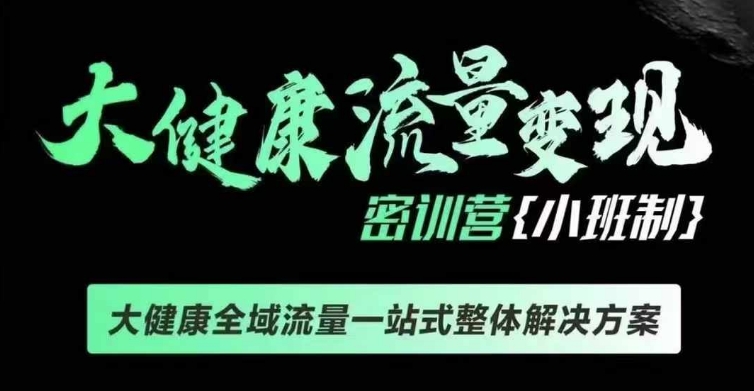 千万级大健康变现课线下课，大健康全域流量一站式整体解决方案-AI网创