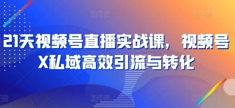 21天视频号直播实战课，视频号X私域高效引流与转化-AI网创