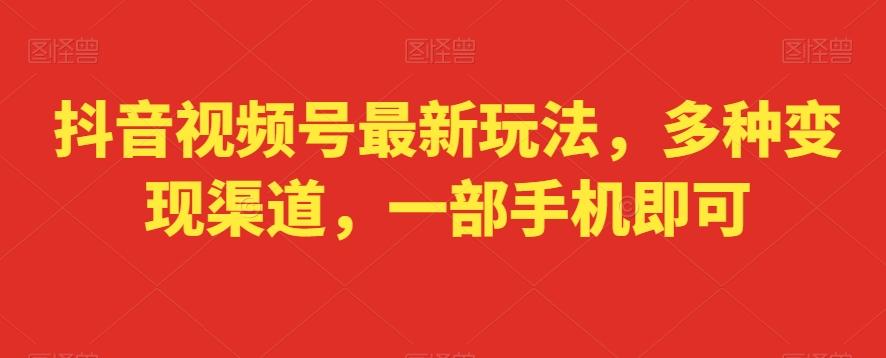 抖音视频号最新玩法，多种变现渠道，一部手机即可-AI网创