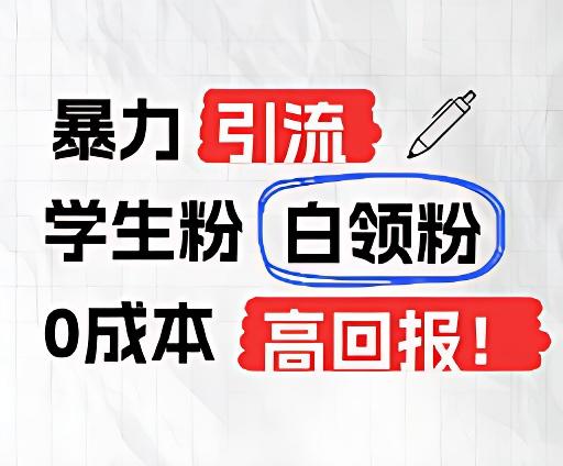 暴力引流学生粉白领粉，吊打以往垃圾玩法，0成本，高回报-AI网创