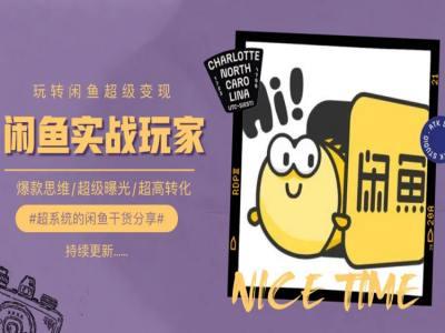 手把手教你0到1系统玩转闲鱼变现，爆款思维/超级曝光/超高转化-AI网创