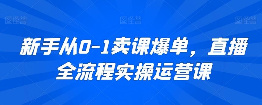 新手从0-1卖课爆单，直播全流程实操运营课-AI网创