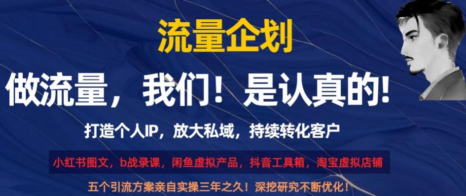 流量企划，打造个人IP，放大私域，持续转化客户【揭秘】-AI网创