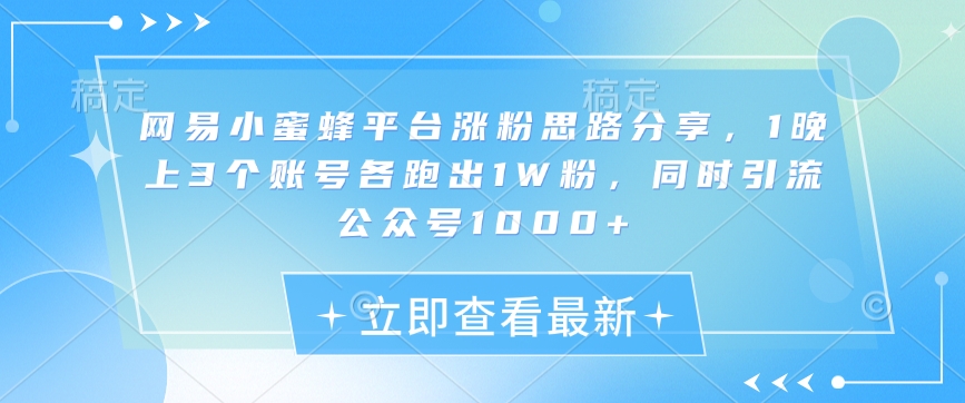 网易小蜜蜂平台涨粉思路分享，1晚上3个账号各跑出1W粉，同时引流公众号1000+-AI网创