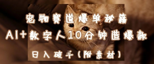 宠物赛道爆单秘籍：AI+数字人10分钟造爆款，日入1k-AI网创