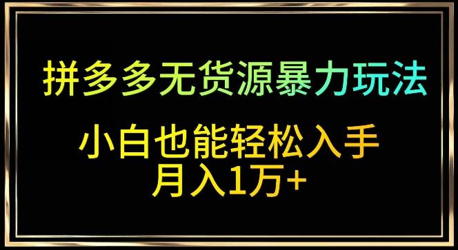 拼多多无货源暴力玩法，全程干货，小白也能轻松入手，月入1万+【揭秘】-AI网创
