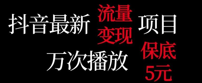 抖音流量变现，万次播放保底5元，额外收入-AI网创