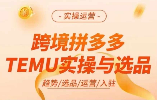 跨境拼多多TEMU实操与选品，多多temu跨境选品运营实操-AI网创
