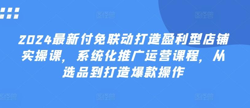 2024最新付免联动打造盈利型店铺实操课，​系统化推广运营课程，从选品到打造爆款操作-AI网创
