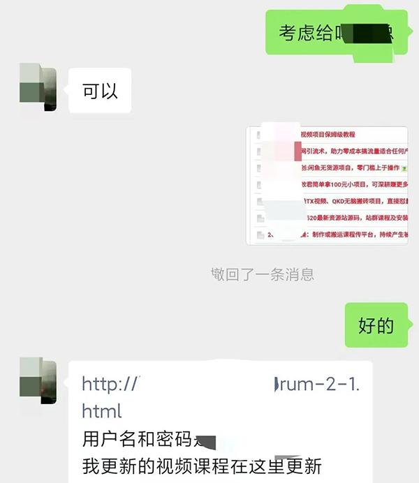 图片[3]-某收费培训：如何一个月快速做出盈利的资源网站(实打实经验)-18节无水印-AI网创