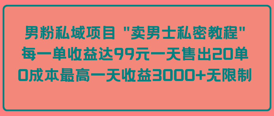 (9730期)男粉私域项目 “卖男士私密教程” 每一单收益达99元一天售出20单-AI网创