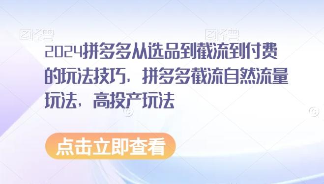 2024拼多多从选品到截流到付费的玩法技巧，拼多多截流自然流量玩法，高投产玩法-AI网创