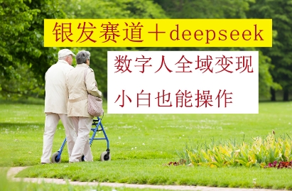 银发赛道+deepseek数字人全域变现，小白也能操作-AI网创