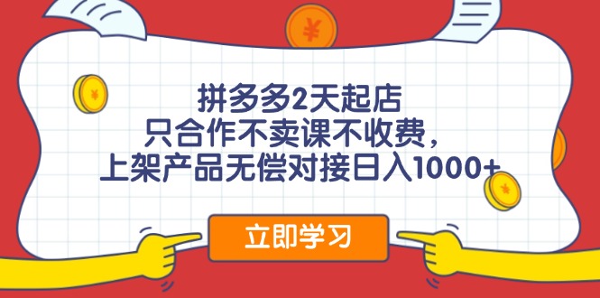 拼多多2天起店，只合作不卖课不收费，上架产品无偿对接日入1000+-AI网创