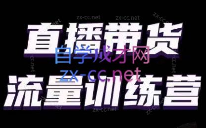 婉婉·直播带货课程系列合集(更新8月)-AI网创