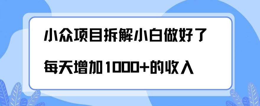 小众项目拆解，小白做好了每天可增加1000多的收入-AI网创