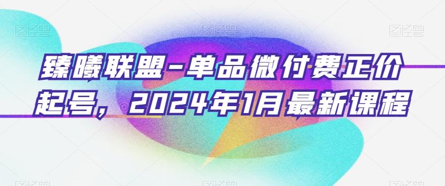臻曦联盟-单品微付费正价起号，2024年1月最新课程-AI网创