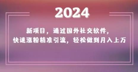 2024新项目，通过国外社交软件，快速涨粉精准引流，轻松做到月入上万【揭秘】-AI网创
