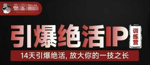 引爆绝活IP训练营，14天引爆绝活，放大你的一技之长-AI网创