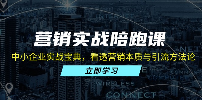 营销实战陪跑课：中小企业实战宝典，看透营销本质与引流方法论-AI网创