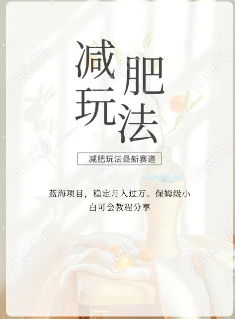 减肥流量主新玩法，轻松月入1W，可矩阵操作收入翻倍-AI网创