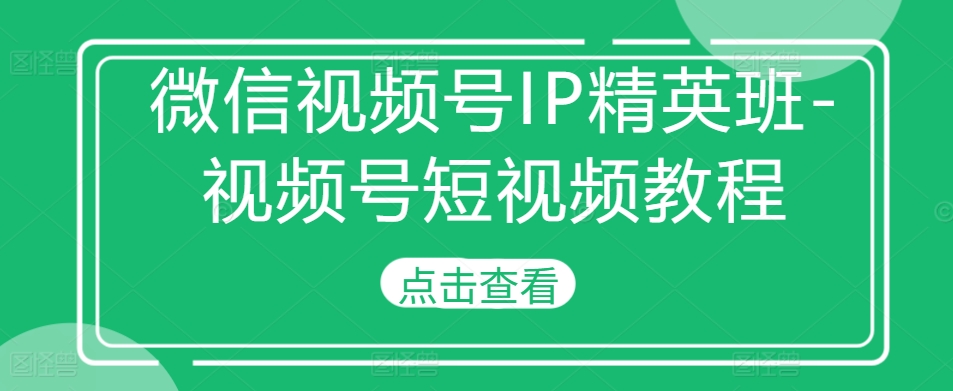 微信视频号IP精英班-视频号短视频教程-AI网创