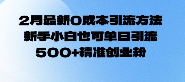 2月最新0成本引流方法，新手小白也可单日引流500+精准创业粉-AI网创