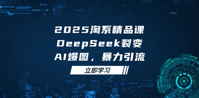2025 淘系精品课，DeepSeek 裂变，AI 爆图，暴力引流-AI网创