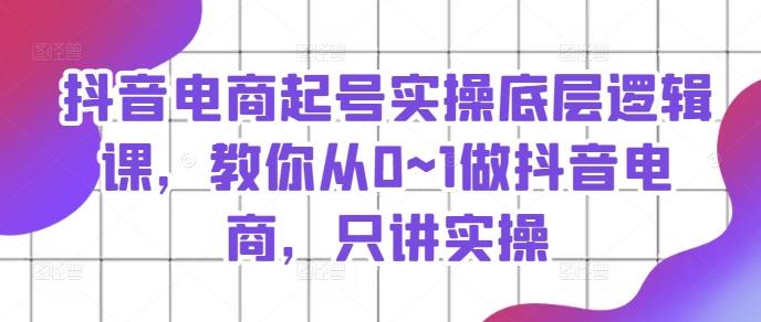 抖音电商起号实操底层逻辑课，教你从0~1做抖音电商，只讲实操-AI网创