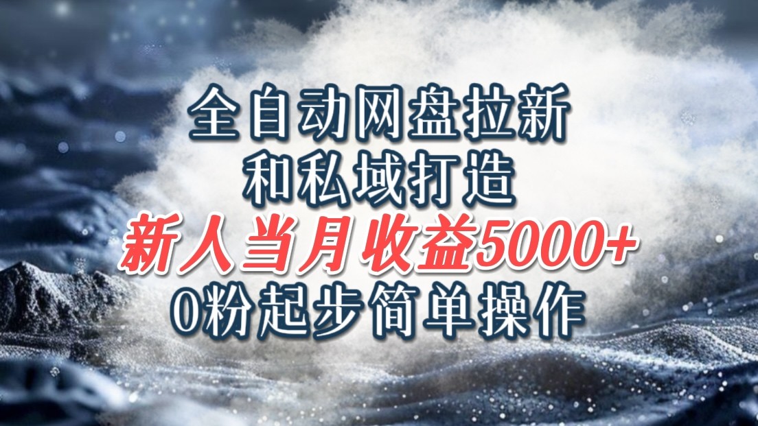 全自动网盘拉新和私域打造，0粉起步简单操作，新人入门当月收益5000以上-AI网创