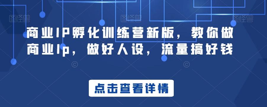 商业IP孵化训练营新版，教你做商业Ip，做好人设，流量搞好钱-AI网创