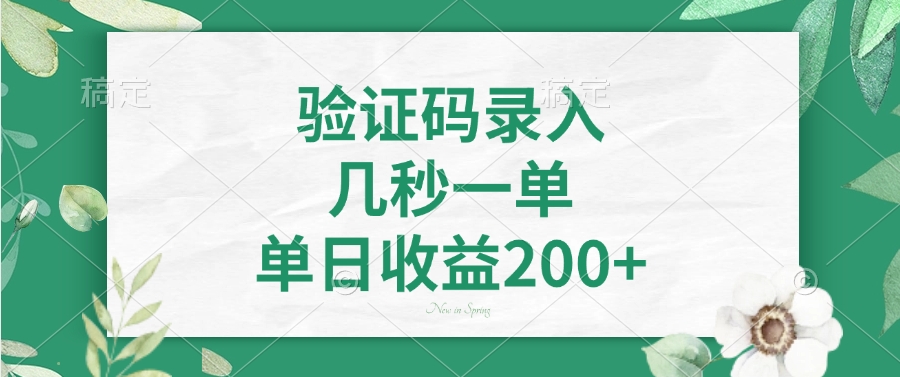 验证码录入，几秒一单，单日收益200+-AI网创