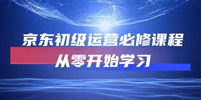 京东初级运营必修课程，从零开始学习(49节课-AI网创