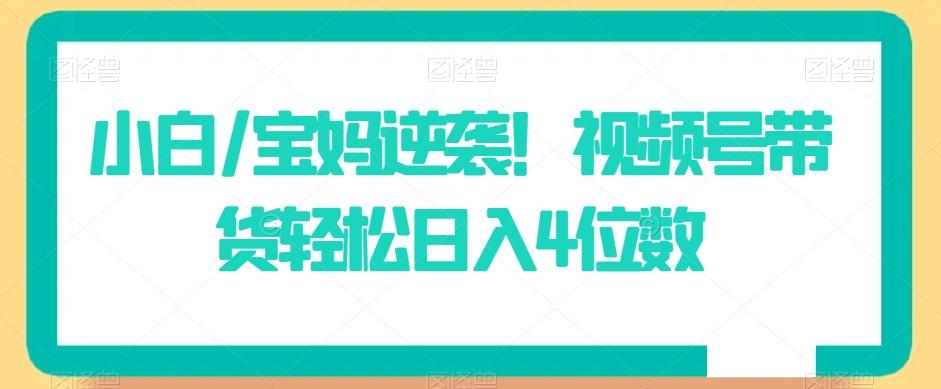 小白/宝妈逆袭！视频号带货轻松日入4位数【揭秘】-AI网创