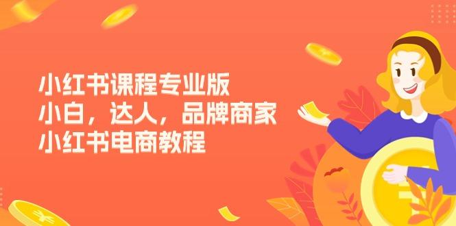 小红书课程专业版，小白，达人，品牌商家，小红书电商教程(15节-AI网创