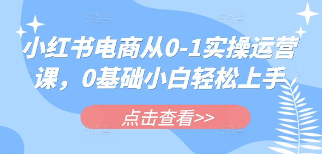 小红书电商从0-1实操运营课，0基础小白轻松上手-AI网创