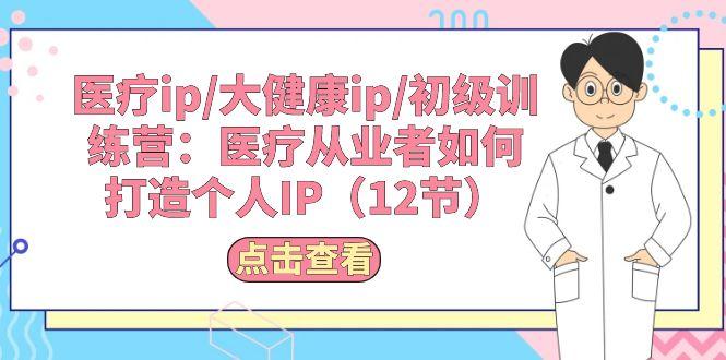 医疗ip/大健康ip/初级训练营：医疗从业者如何打造个人IP(12节-AI网创