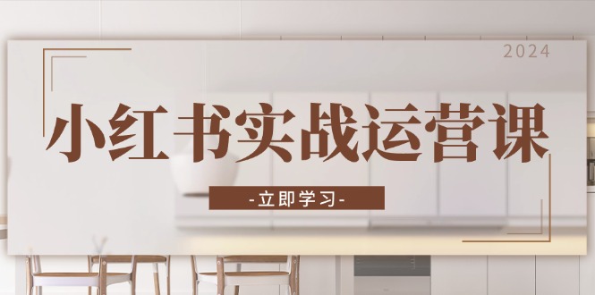 小红书实战运营课：从开通店铺到直播话术，打造爆款笔记与高效直播-AI网创