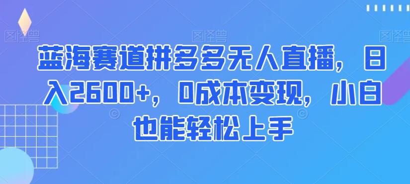蓝海赛道拼多多无人直播，日入2600+，0成本变现，小白也能轻松上手【揭秘】-AI网创