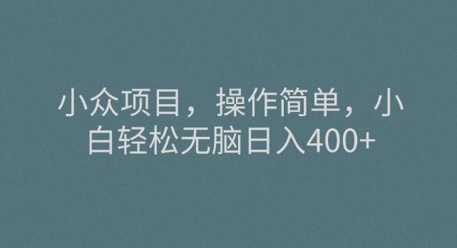 小众项目，操作简单，小白轻松无脑日入400+-AI网创