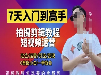 7天入门到高手，短视频剪辑运营高手课，定位 运营 引|流 变现，0基础小白一学就会-AI网创