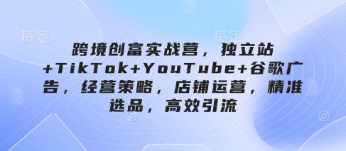 跨境创富实战营，独立站+TikTok+YouTube+谷歌广告，经营策略，店铺运营，精准选品，高效引流-AI网创