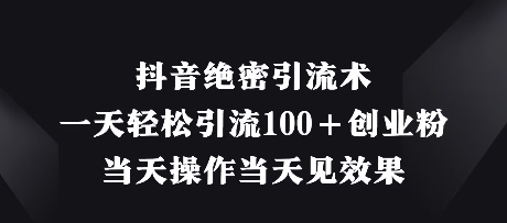 抖音绝密引流术，一天轻松引流100+创业粉，当天操作当天见效果-AI网创