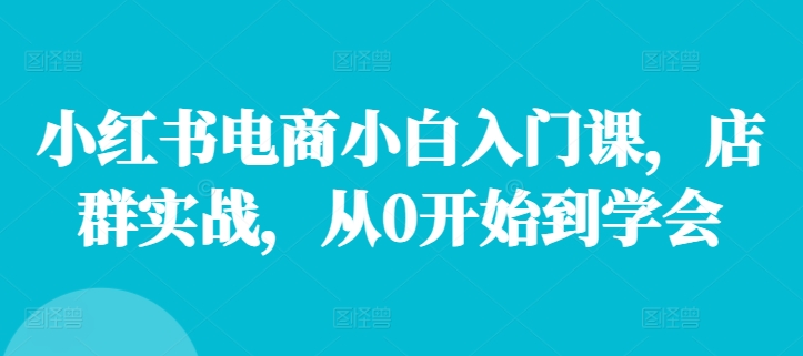小红书电商小白入门课，店群实战，从0开始到学会-AI网创