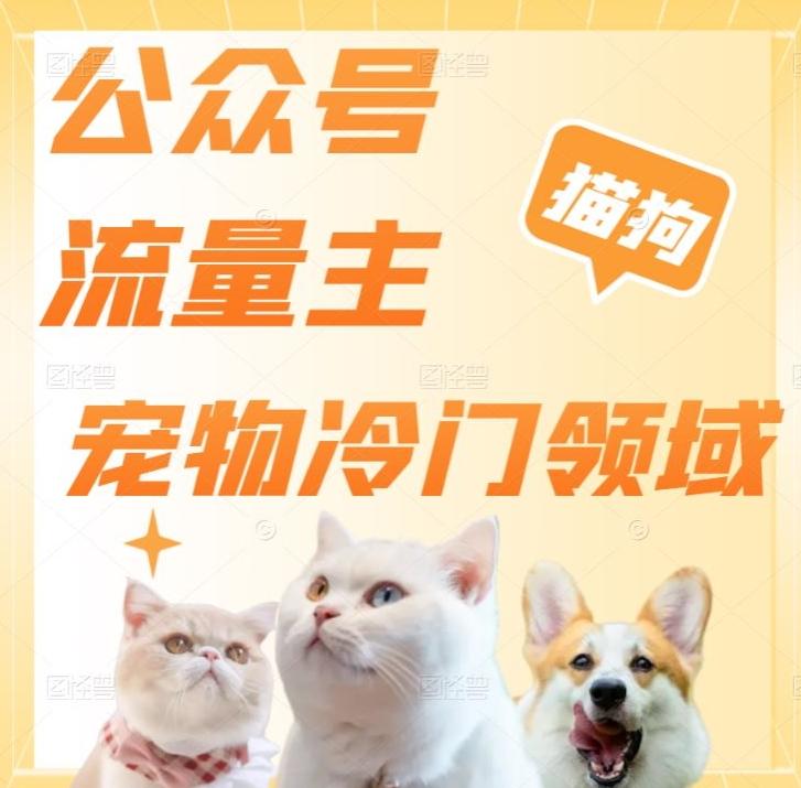 公众号流量主，萌宠冷门领域，单日收益2000+，简单暴力掘金，矩阵操作，无限放大收益！-AI网创