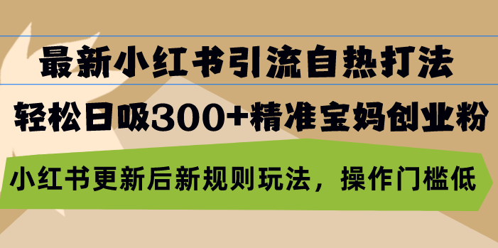 最新小红书引流自热打法，轻松日吸300+精准宝妈创业粉，小红书更新后新…-AI网创
